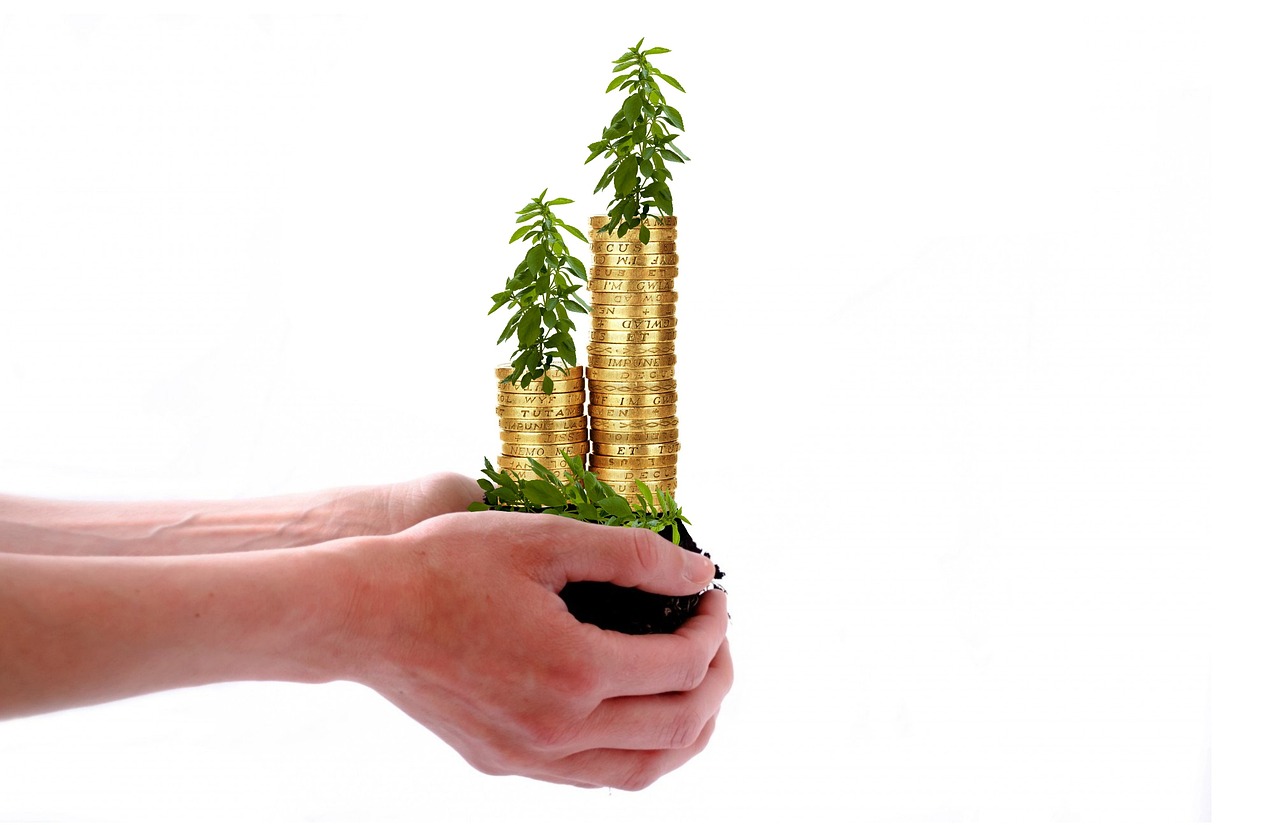 sucesso investimentos